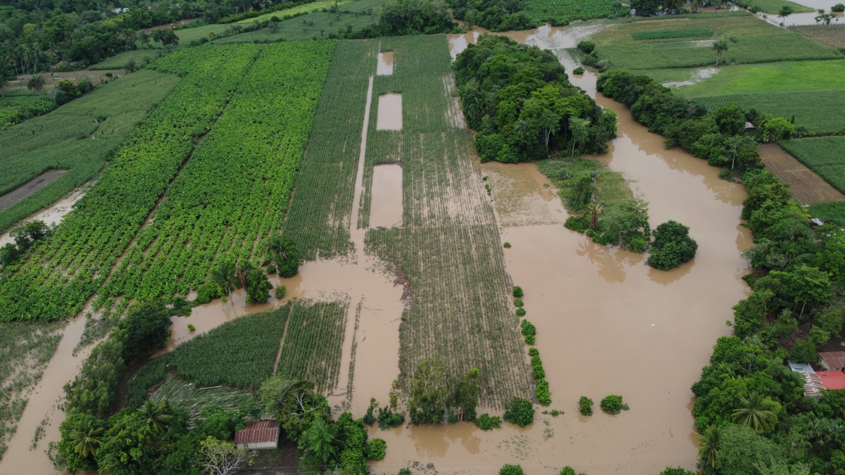 Aguaceros y desborde de ríos destruyen 181 hectáreas de cultivos de maíz y plátano en Suchitepéquez